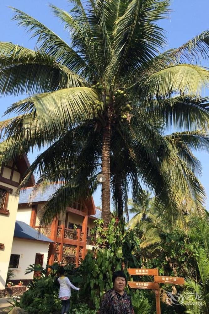 Hainan Bulongsai Resort Hotel Baoting Exterior photo